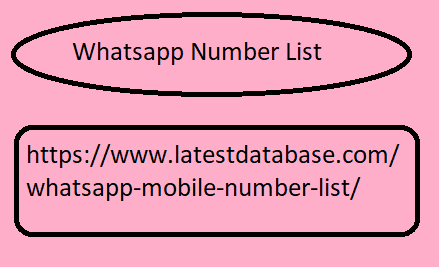 Whatsapp Number List